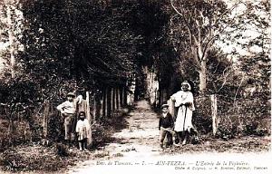 AIN FEZZA - LA PEPINIERE
